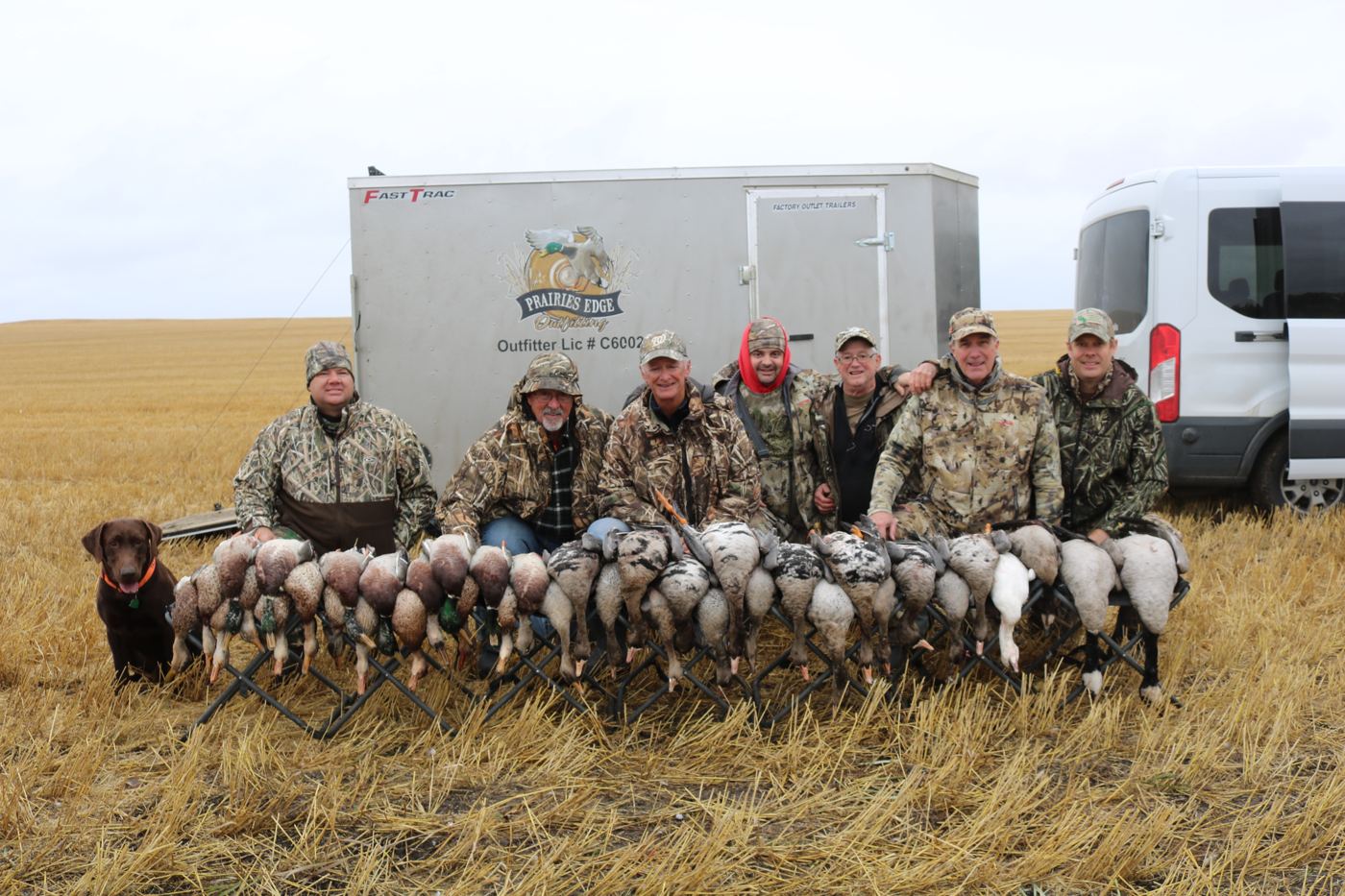 Canada and blue goose pile with the Prairies Edge Outfitting trailer and a black Labrador Canada and blue goose pile with the Prairies Edge Outfitting trailer and a black Labrador