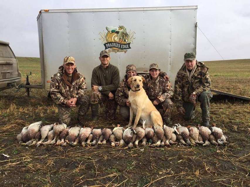 Mallard rack with the Prairies Edge Outfitting trailer after a Saskatchewan duck hunt Mallard rack with the Prairies Edge Outfitting trailer after a Saskatchewan duck hunt