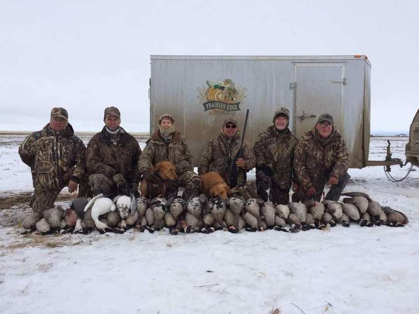 Saskatchewan goose hunts photo Recent Saskatchewan goose hunts with Prairies Edge Outfitting