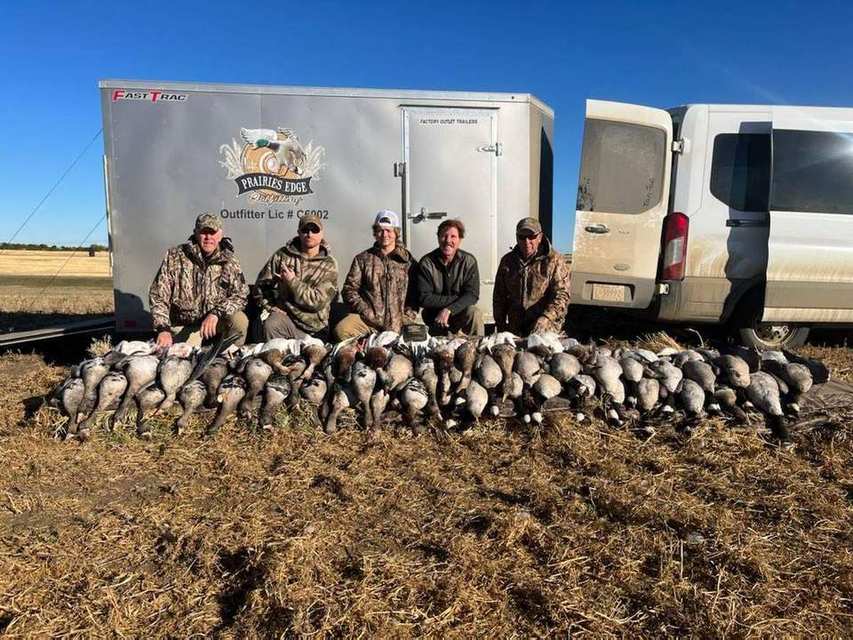 Heavy Canada goose pile with the Prairies Edge Outfitting trailer after a Saskatchewan goose hunt Heavy Canada goose pile with the Prairies Edge Outfitting trailer after a Saskatchewan goose hunt