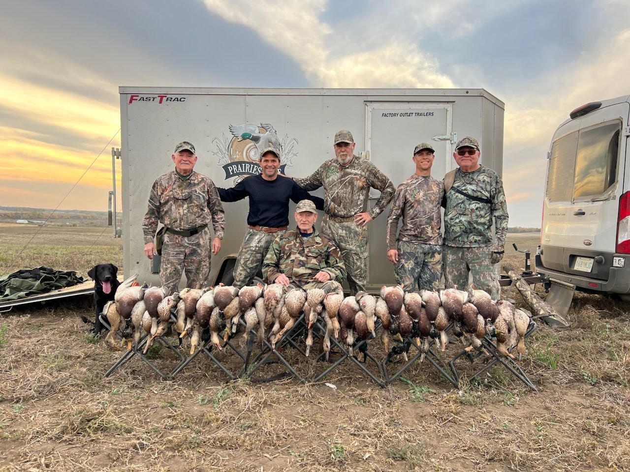 Mallards laid out on the rack with a hunter group and yellow lab after a Saskatchewan duck hunt Mallards laid out on the rack with a hunter group and yellow lab after a Saskatchewan duck hunt