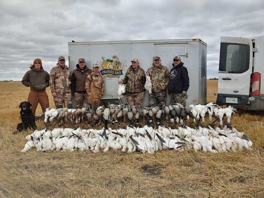 Saskatchewan spring snow goose hunts photo Recent Saskatchewan spring snow goose hunts with Prairies Edge Outfitting